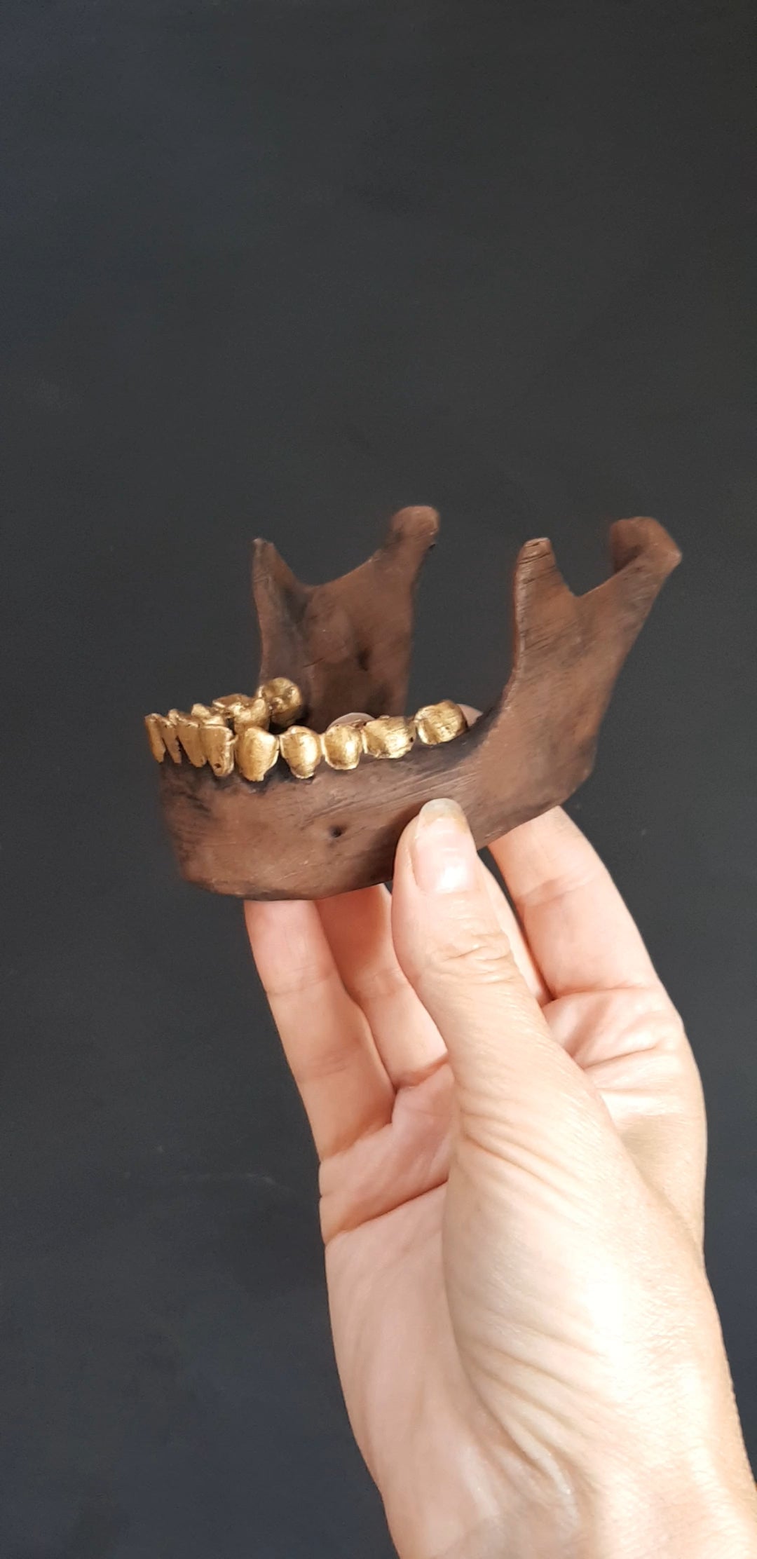 Chocolate Jaw Bone