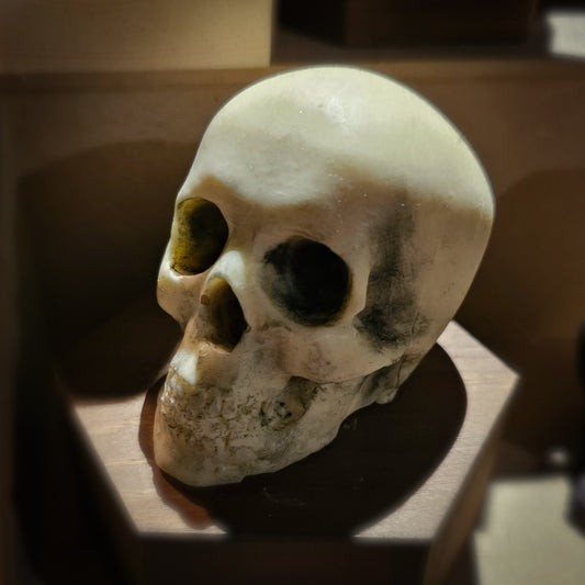 White chocolate skull with hand finished shadow detail