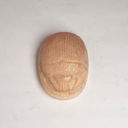 Marzipan Scarab