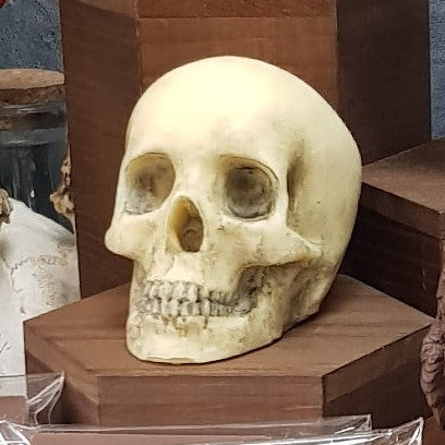 Small Chocolate Skull 100g