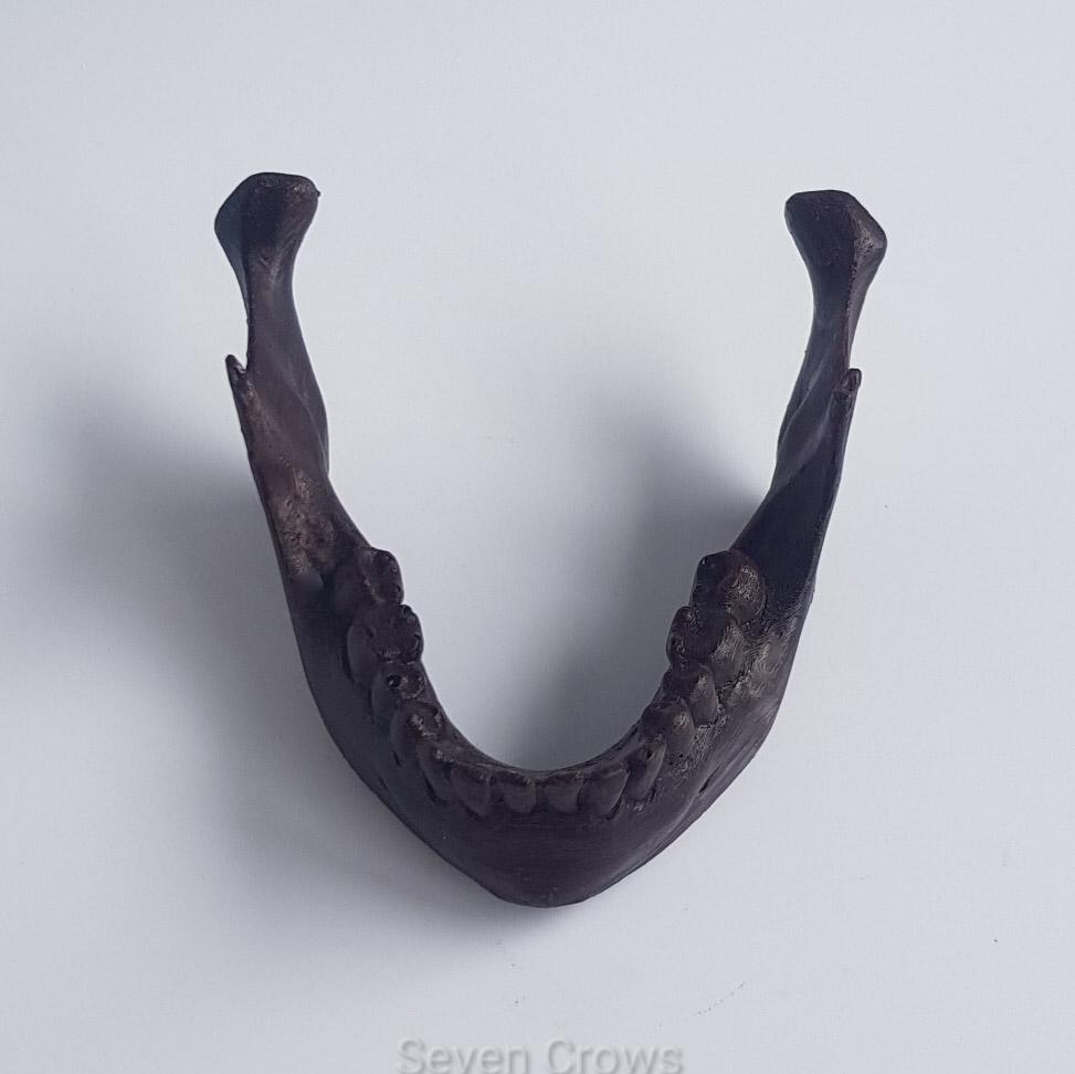 Dark chocolate jaw bone 75g