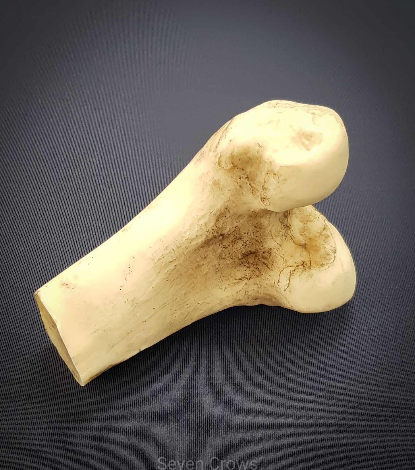 Femur section