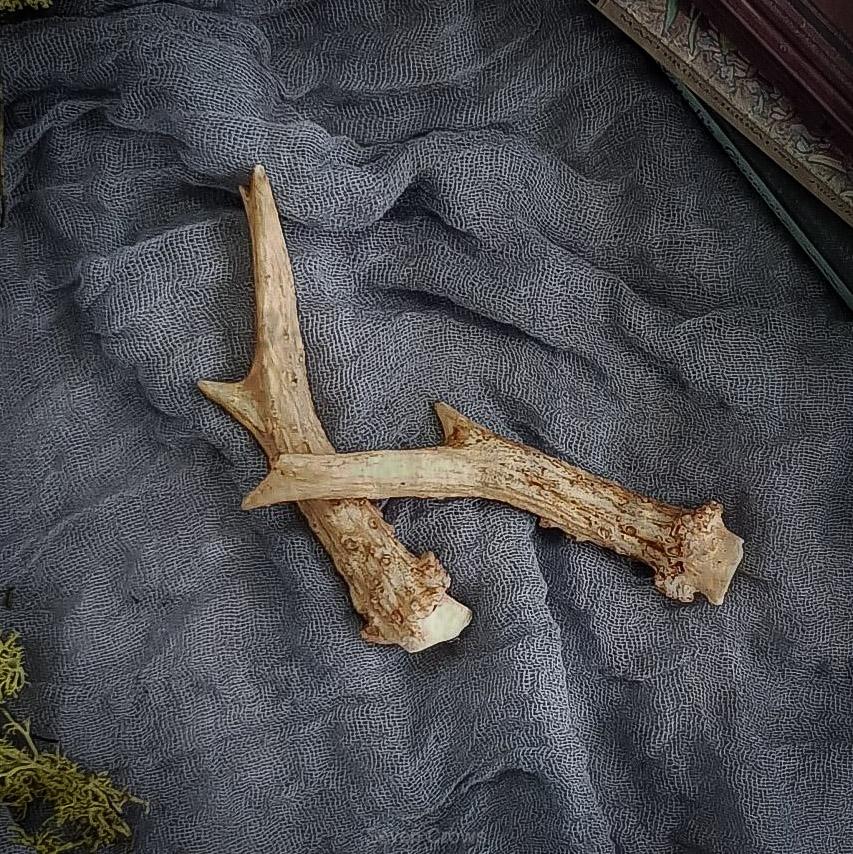 Antler