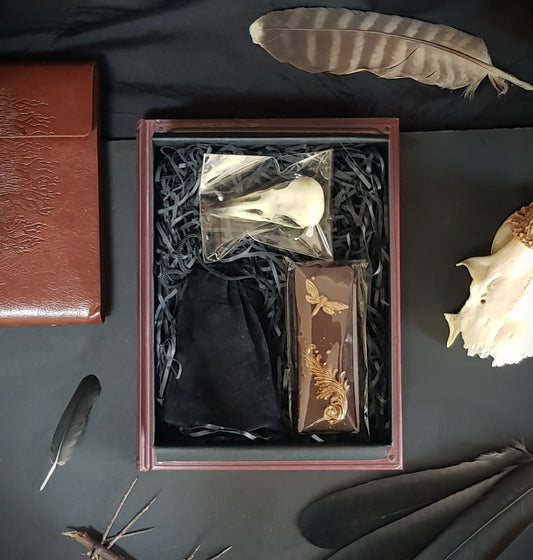 Chocolate bird skull and chocolate bar decorated with golden filigree and moth design, flatlay image with natural world curios around the gift box