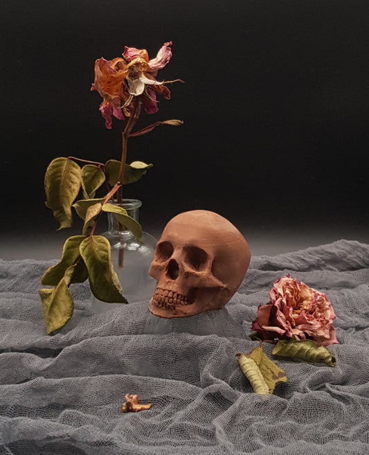 Milk chocolate skull gift on display plinth with dried flowers in a vase