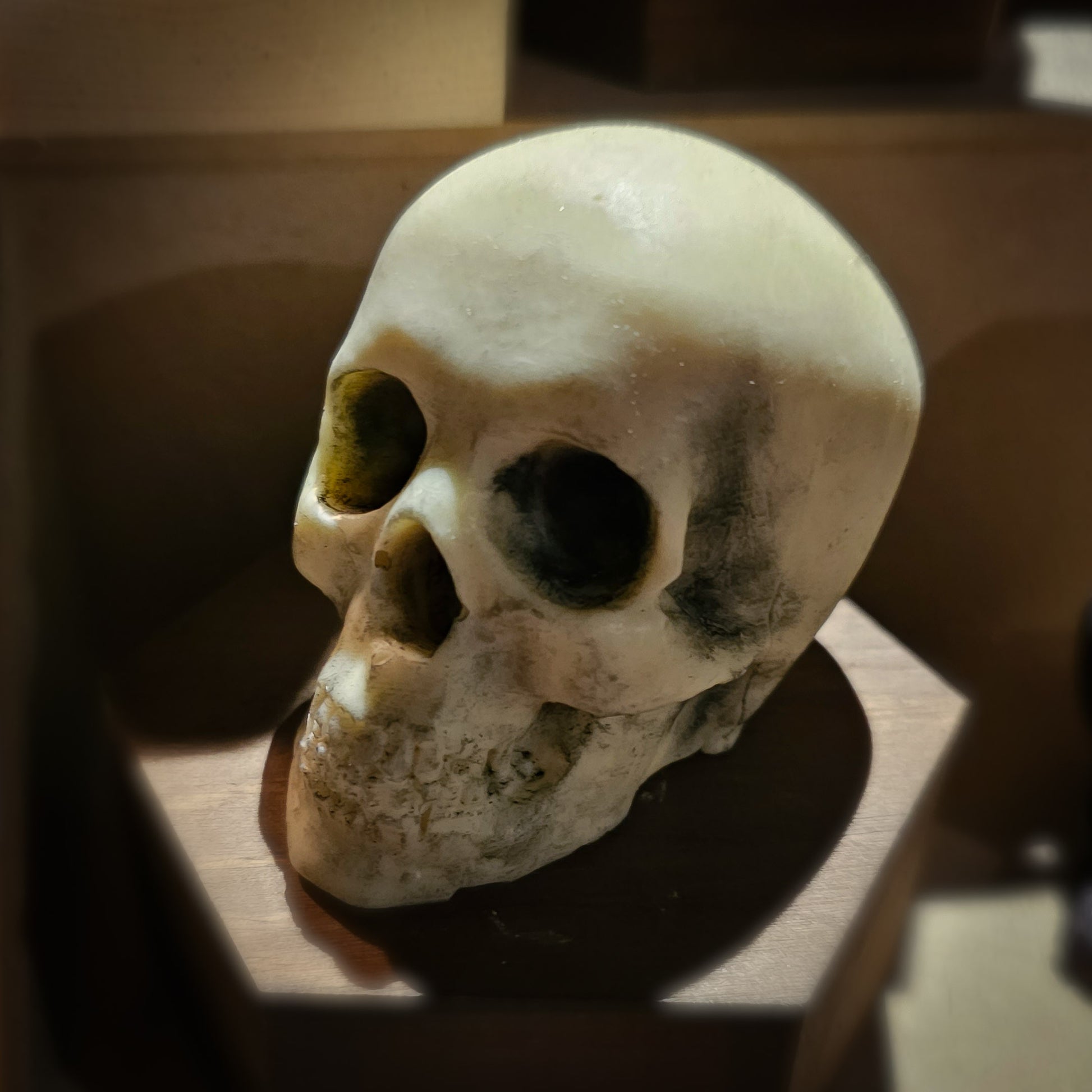 White chocolate skull with hand finished shadow detail 