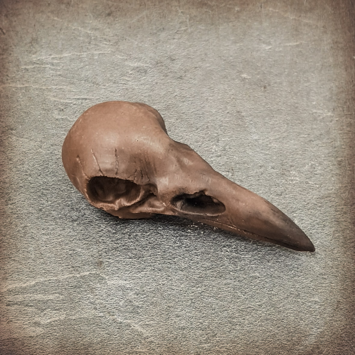Milk chocolate crow skull gift with hand painted detail to make it look realistic